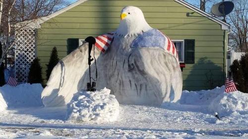 snoweagle
