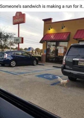 B5E2AC60-9DD2-44F4-A392-2134A48D8824