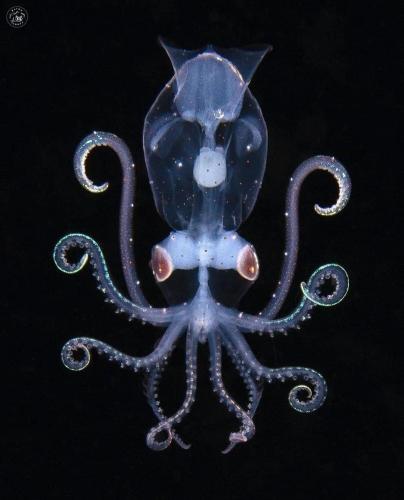 F9670F21-DC23-44BA-B16F-F939F63C6E69