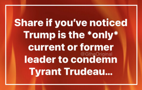 img - 2022-02-20T150311.350