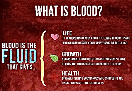 A4BA590D-94CA-45B6-8F1E-CEEA71F84CAC