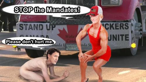 Canadian_truckers_protesting_border_vaccine_mandate-syndImport-114621