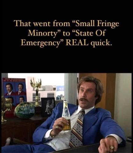 xephula_496a93908cae5b01eb7cdc93b693f207