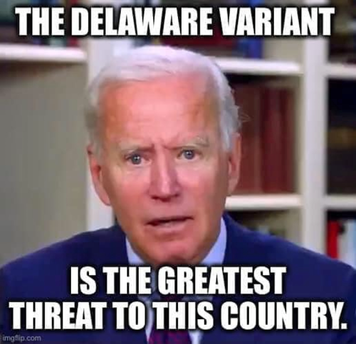 M Delaware Variant
