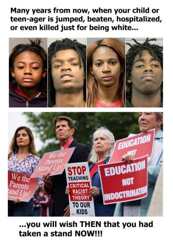 standagainstcrtnow