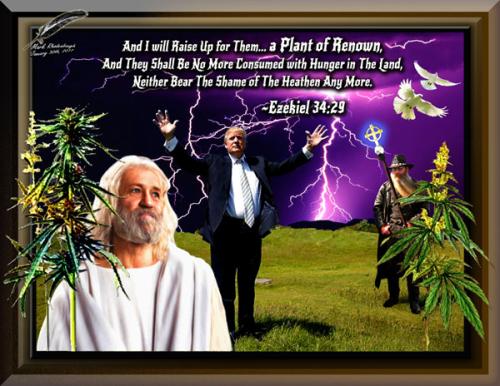 Plant of Renown ~Remastered for 2017~