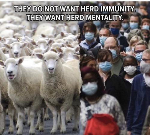 7F511657-214A-418D-A305-639F7128F1FD