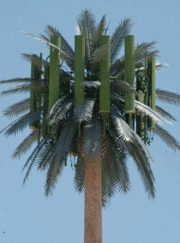 photo5809882904061392914