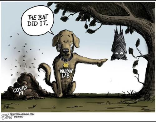 e38db8bb-119b-4493-852f-43d1c7755ded