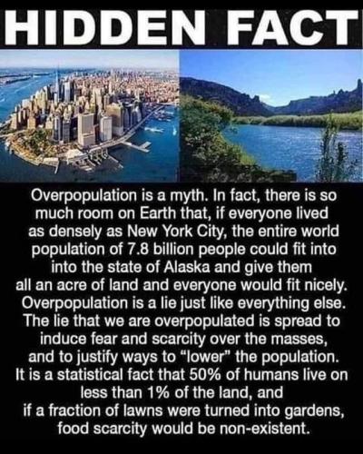 2022-02-09 20.26.52