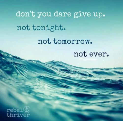 9d84706f-bbb5-4228-ad78-316e9fd228ba