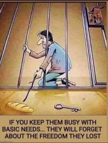 IMG_20220215_145219_571