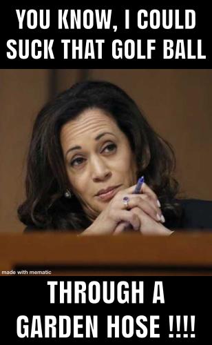 B416DF84-CB78-45D9-8447-C27DB3699E3C