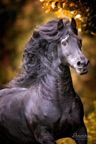 8C3C9272-5DCA-4EE9-9923-B1DAC9BA4687