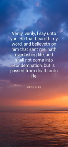 7F4324B2-DFBA-4AAF-AE2F-D408CC931E36