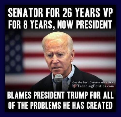 Never Bidens Fault