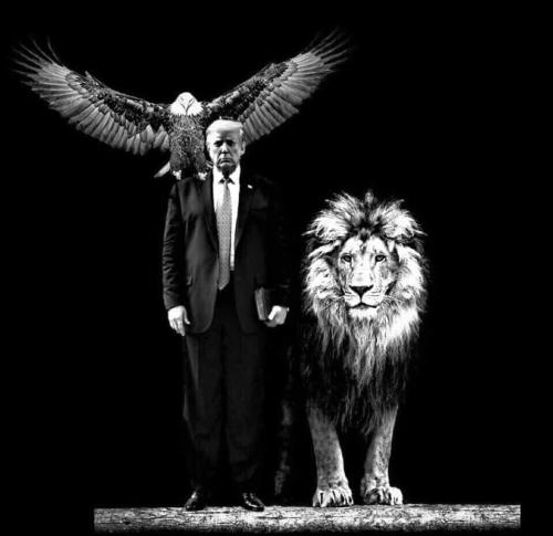 5FE234A5-6C63-429A-A996-98850F5956C0