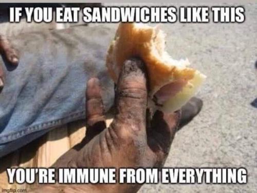 sammich