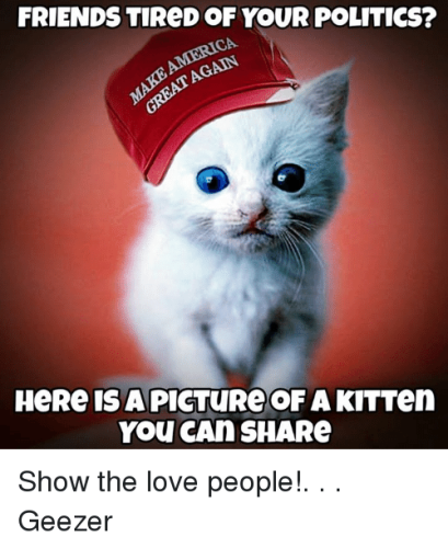 friends-tired-of-your-politics-ca-here-is-a-picture-7524415-2