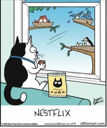 nestflix