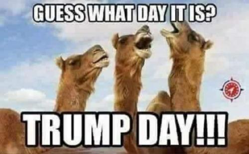 E3DC0AE4-627D-497D-90AA-107EFE9B08B8