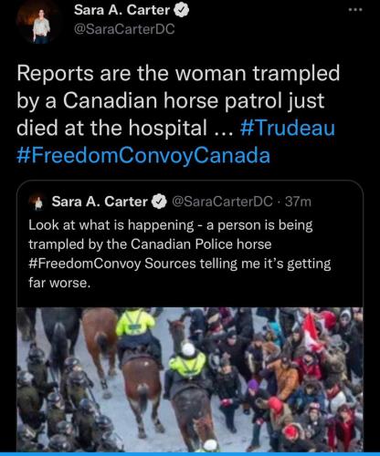 217116e622faee03934d9ae899e82622_500x0