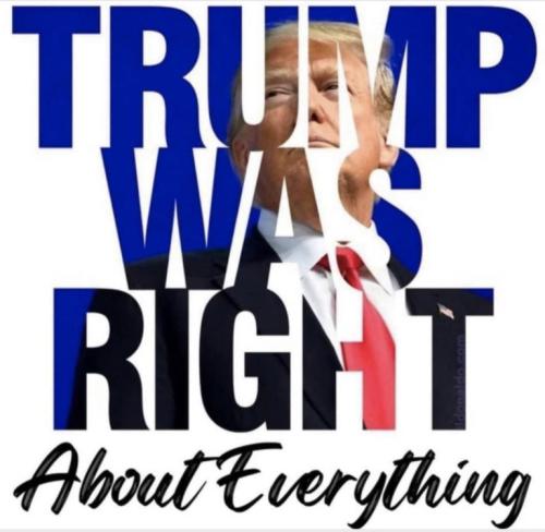 bc0966661f091b969947f7987d3bcd88_500x0