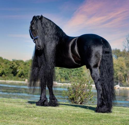 115F2A11-9580-43EB-8D84-2A8641699CCF