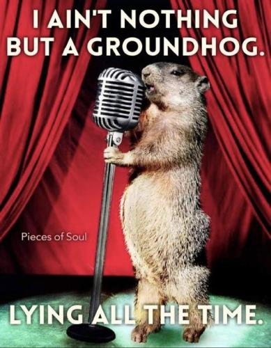 Groundhog