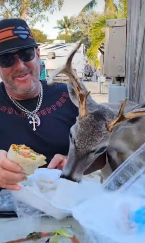 Screenshot_20220211-074709_Gallery