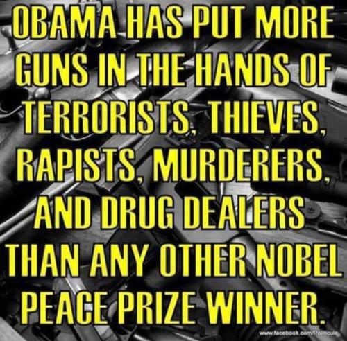 obamaguns