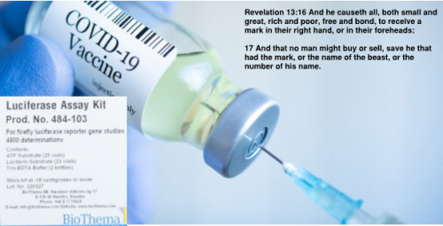 11 Mark Rev 13.16
