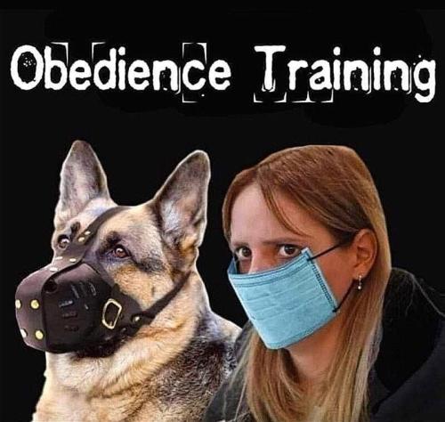 73823bb3-bce4-45f6-afef-d3ee7c5fe416