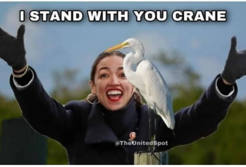 You Crane AOC