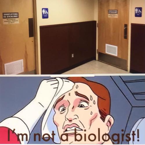 34131F76-5078-4AB3-BD3C-CAD57A1DB489