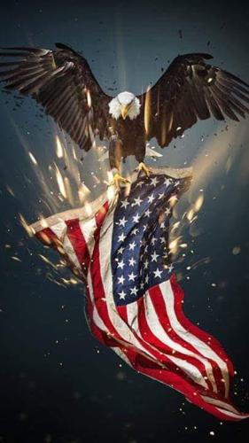 photo4983355201436101169