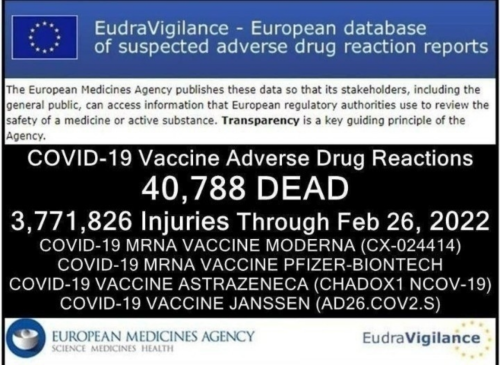 1647874998593_hub_od_