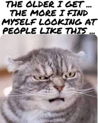 GBrouchy Cat