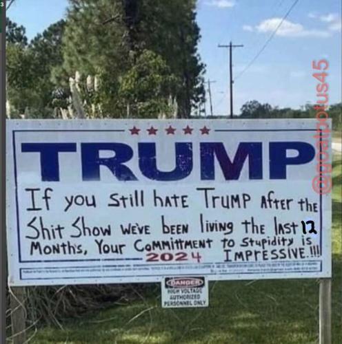 if you still hate Trump