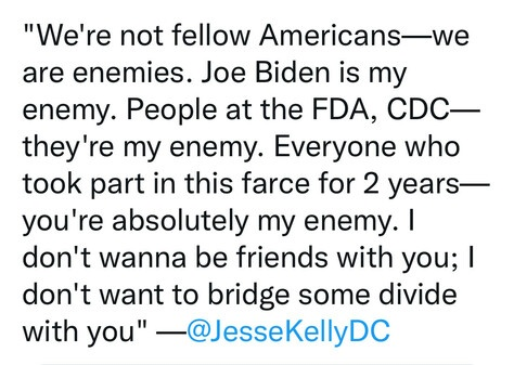 WE ARE NOT FELLOW AMERICANS
