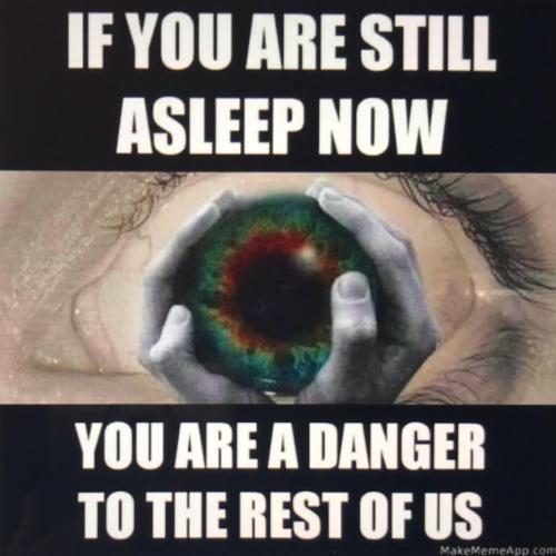 C5455142-BAB3-4788-B682-772DE958D1C5