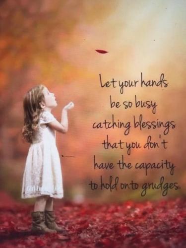 A90D35B9-1788-49DB-B16A-D62DE57ECF3A