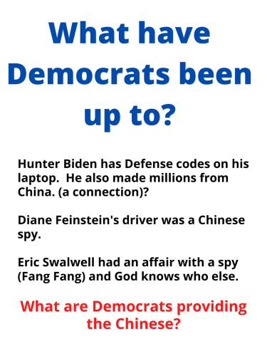 What have Democrats been up to
