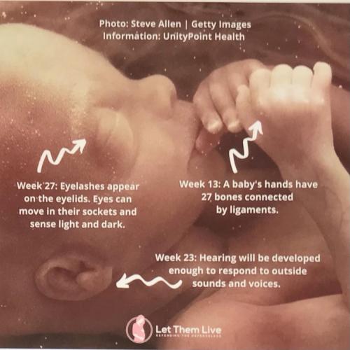 B4742D03-5F97-4C74-A074-B0F1B9611323