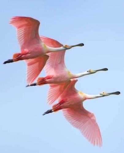 EA0D8D25-C645-4CEB-9FD3-92B2E7410AAE