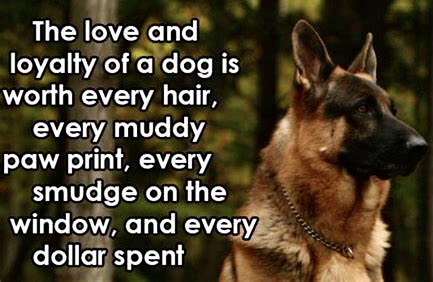 6D5588B1-B52E-462A-A8C5-ACAC714722BE