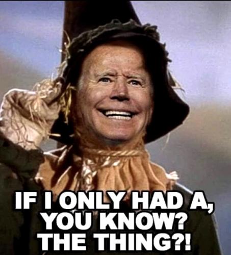 Biden Scarecrow ~Wishes He had a Thing~