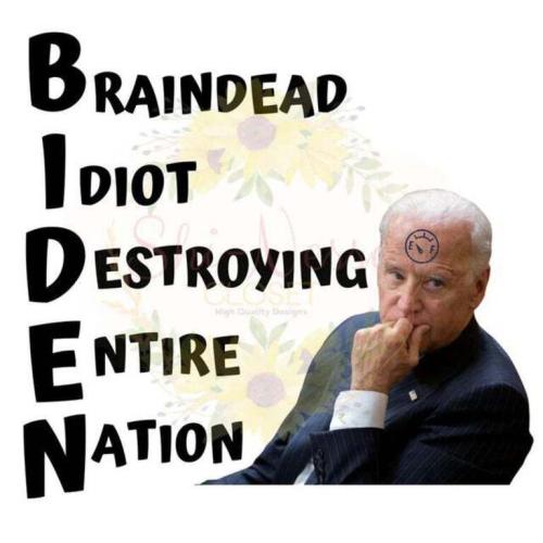 Biden Idiot