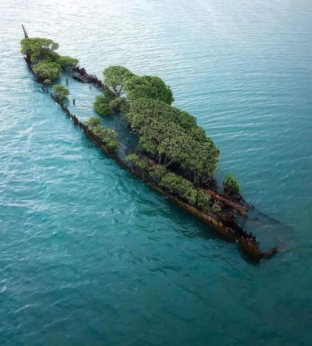 8739A76C-81EB-41B4-9EDE-0C964E1AFBF2