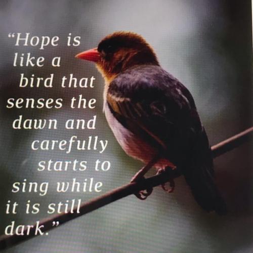 CFA6BEED-9210-47D5-AF10-8358AB0DF345